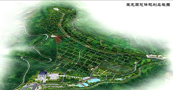 壹定发(中国游)官方网站