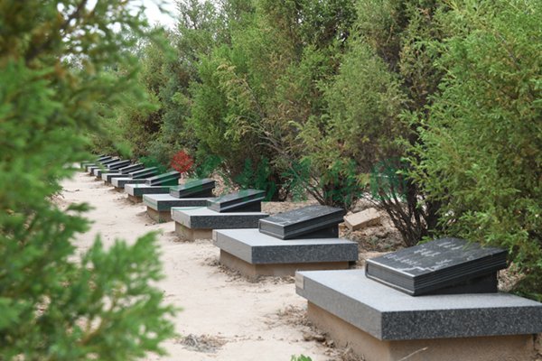 壹定发(中国游)官方网站