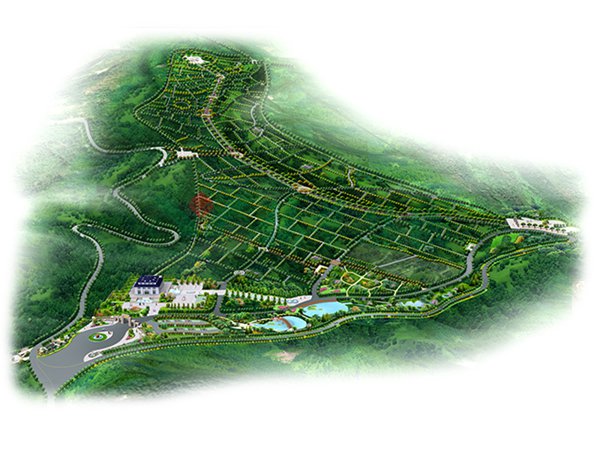 壹定发(中国游)官方网站