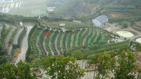 壹定发(中国游)官方网站