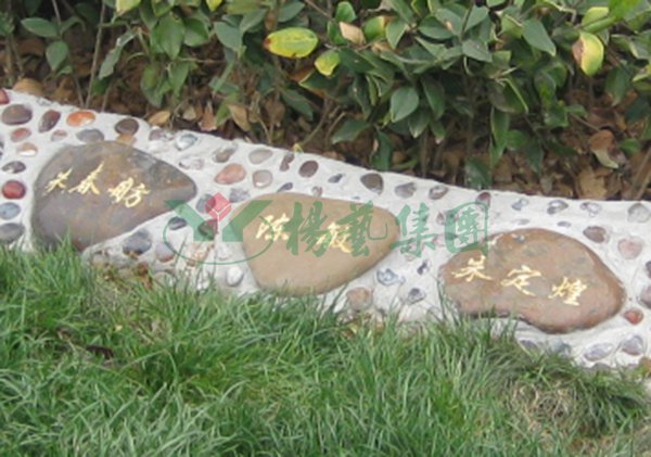 壹定发(中国游)官方网站