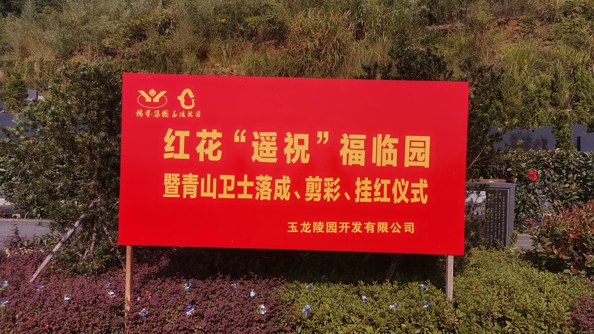 红花传爱意，，，，，情满玉龙园！