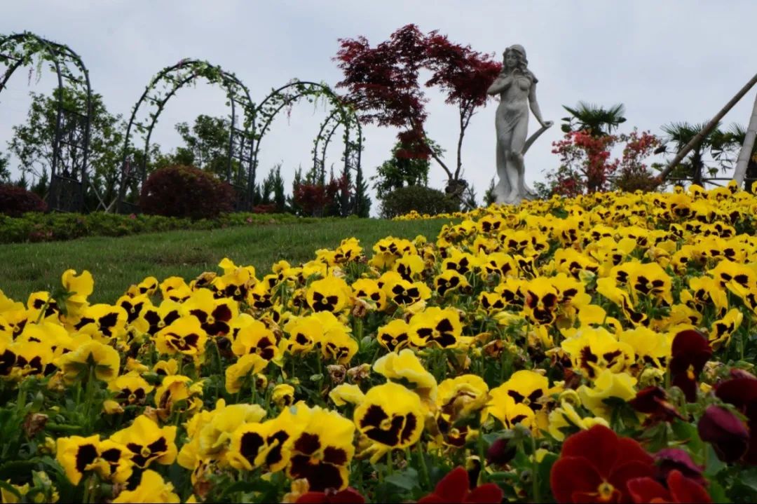 壹定发(中国游)官方网站