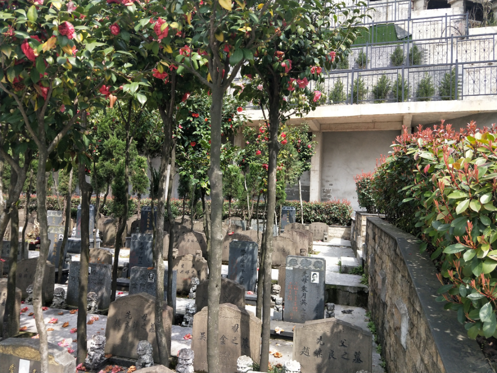 壹定发(中国游)官方网站