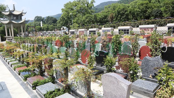 壹定发(中国游)官方网站