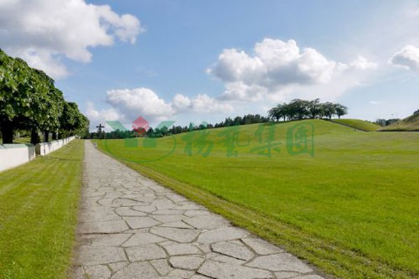 壹定发(中国游)官方网站