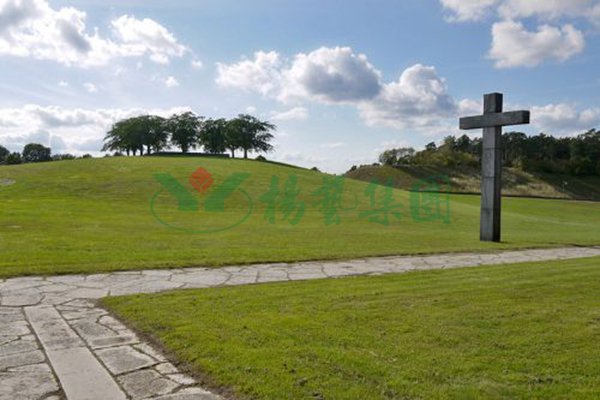 壹定发(中国游)官方网站