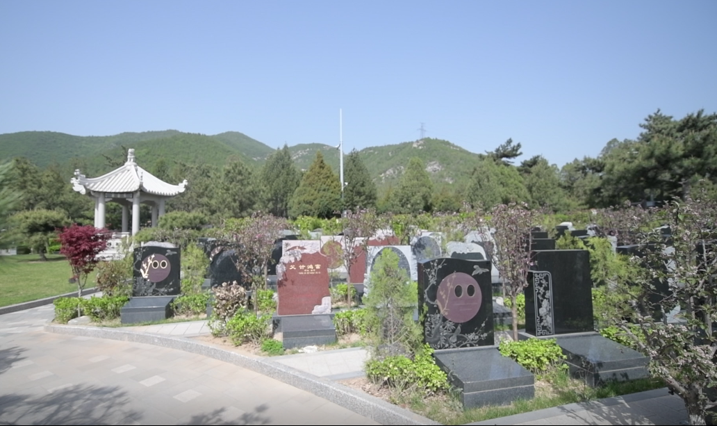 壹定发(中国游)官方网站