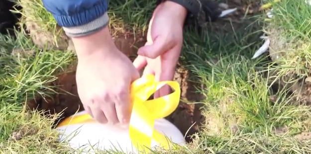 壹定发(中国游)官方网站