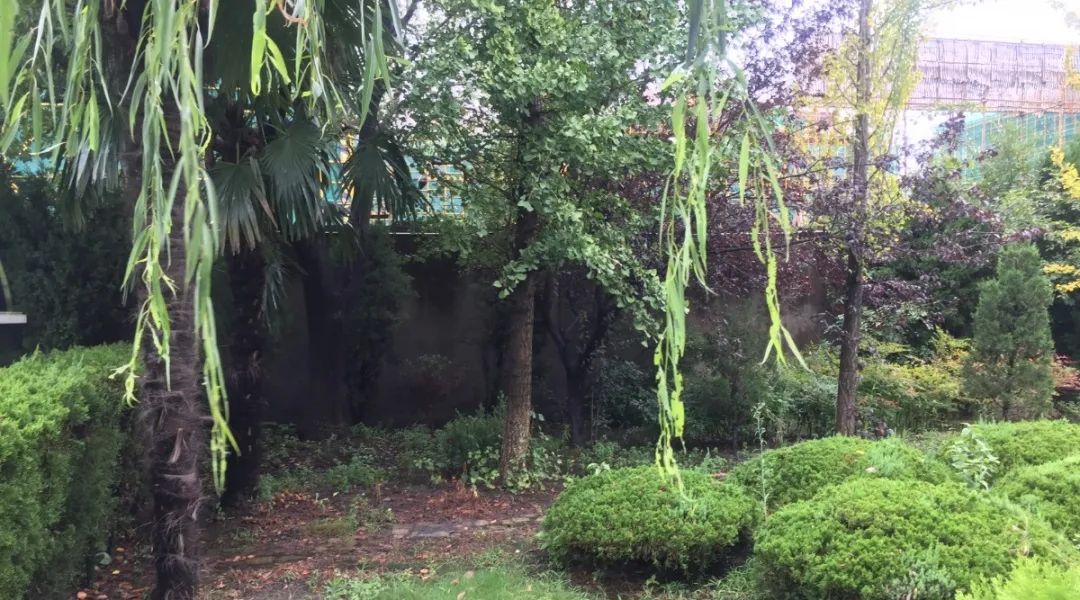 壹定发(中国游)官方网站