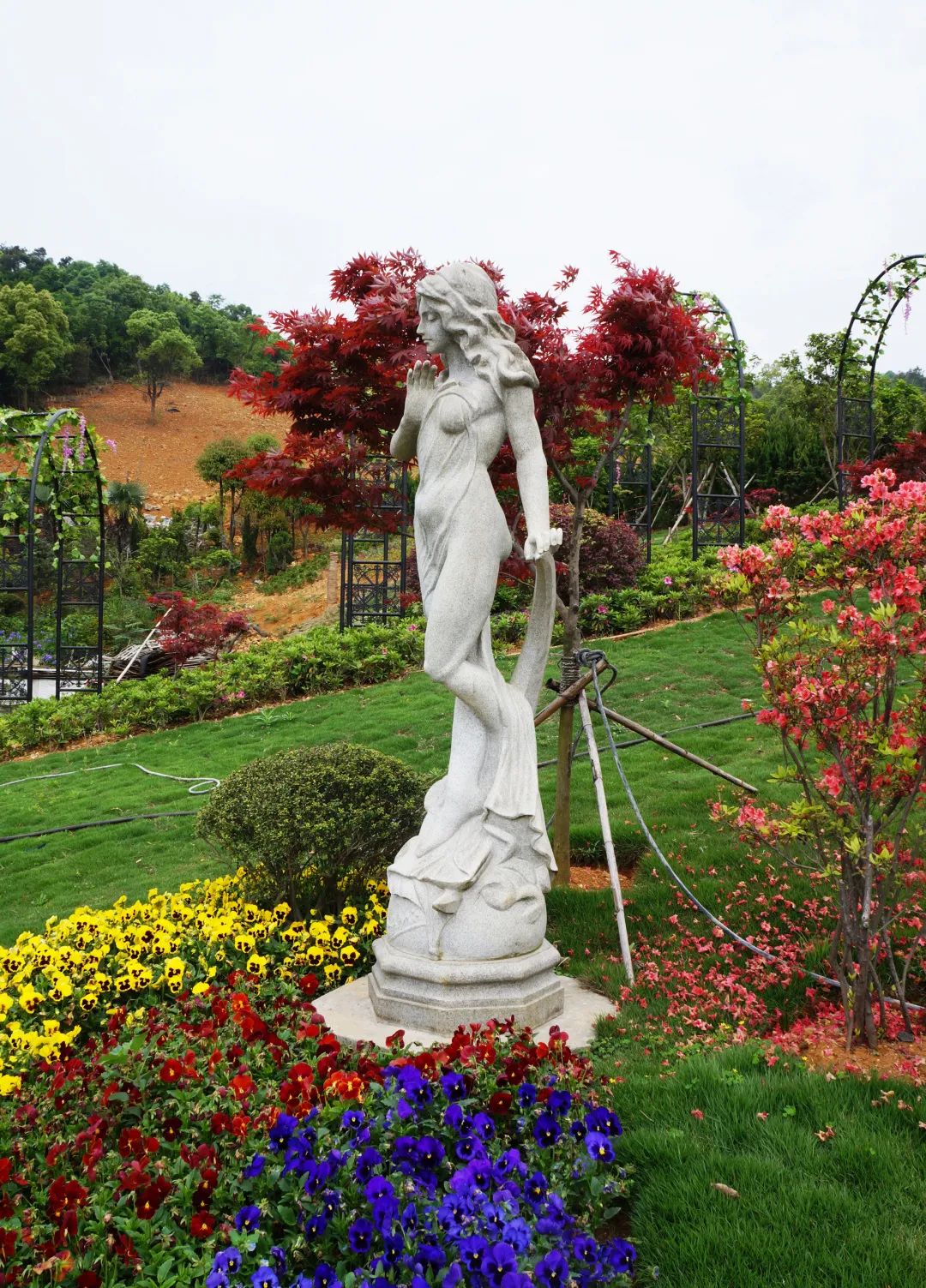 壹定发(中国游)官方网站