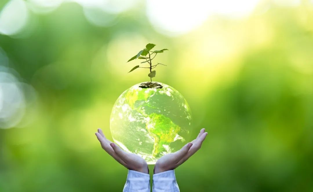 壹定发(中国游)官方网站