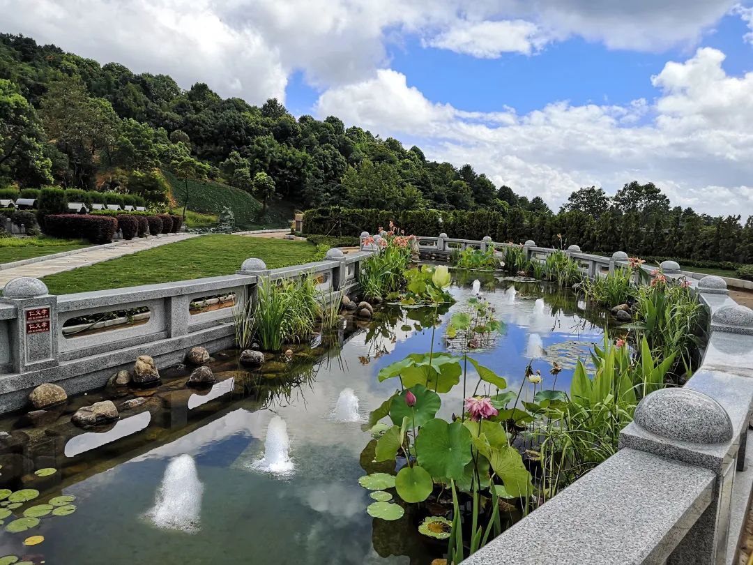 壹定发(中国游)官方网站