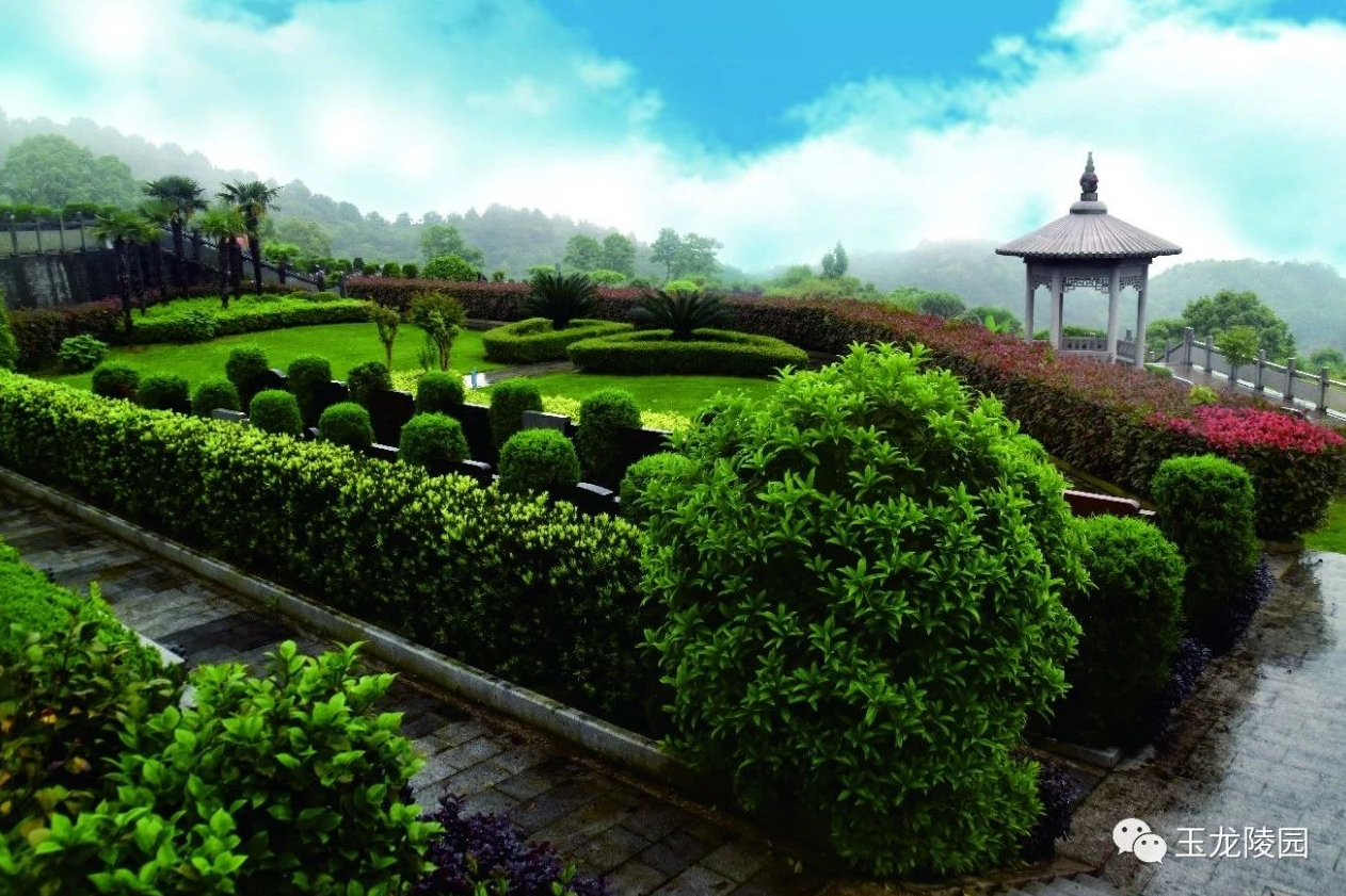 壹定发(中国游)官方网站