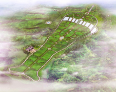 壹定发集团：公墓投资的践行者，，，，，，谋划治理的行家