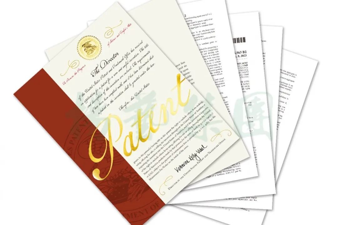 壹定发(中国游)官方网站