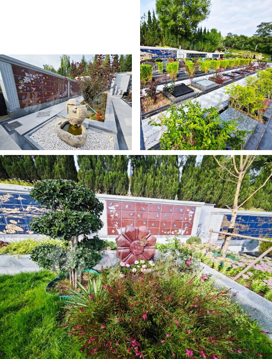 壹定发(中国游)官方网站