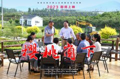 《樱桃崮下》给壹定发的启发