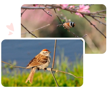 壹定发(中国游)官方网站