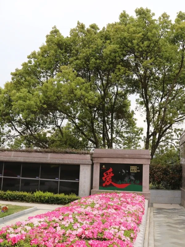 壹定发(中国游)官方网站