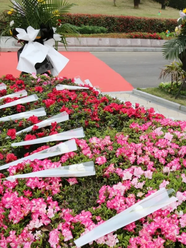 壹定发(中国游)官方网站