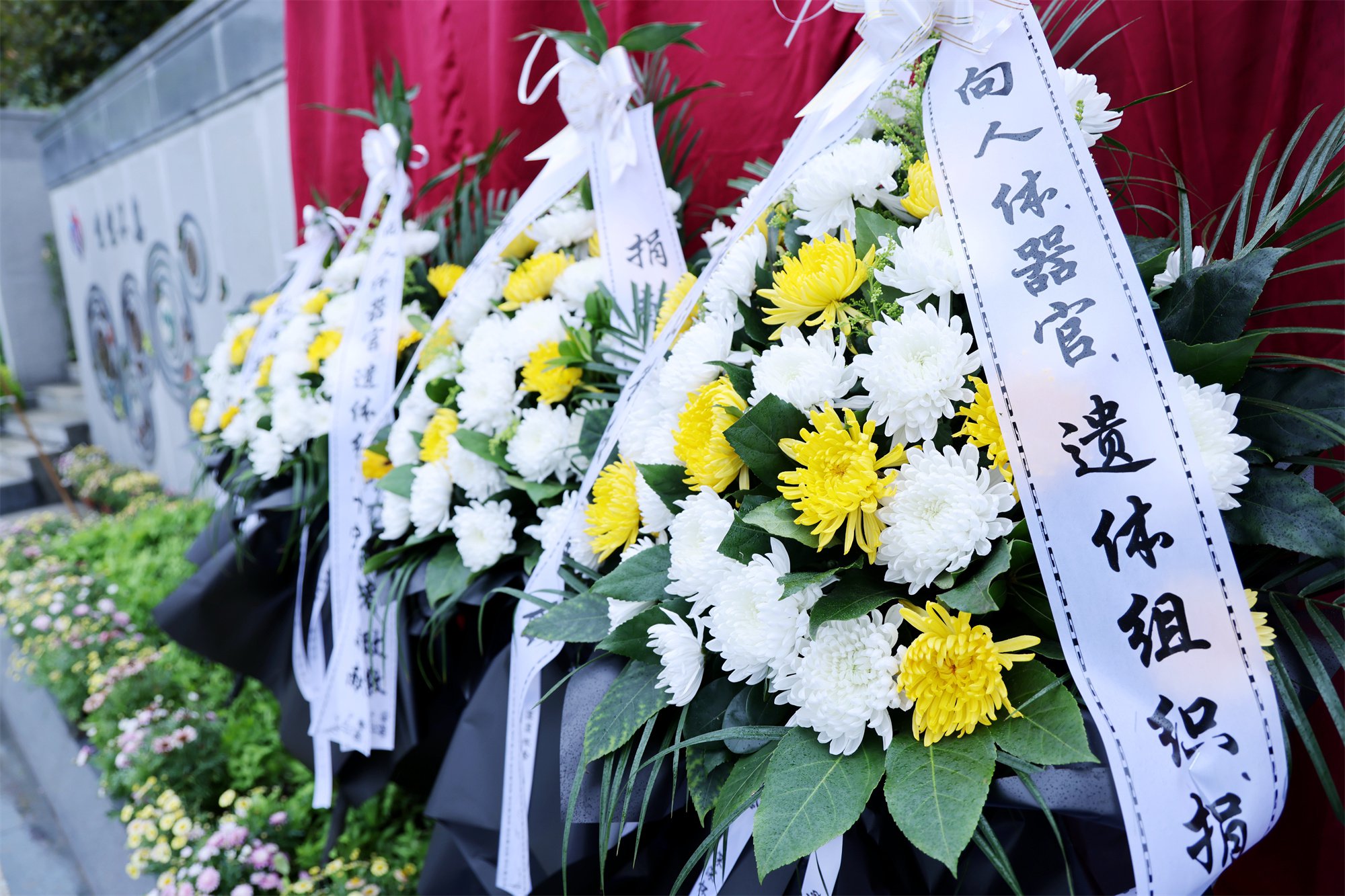 壹定发(中国游)官方网站