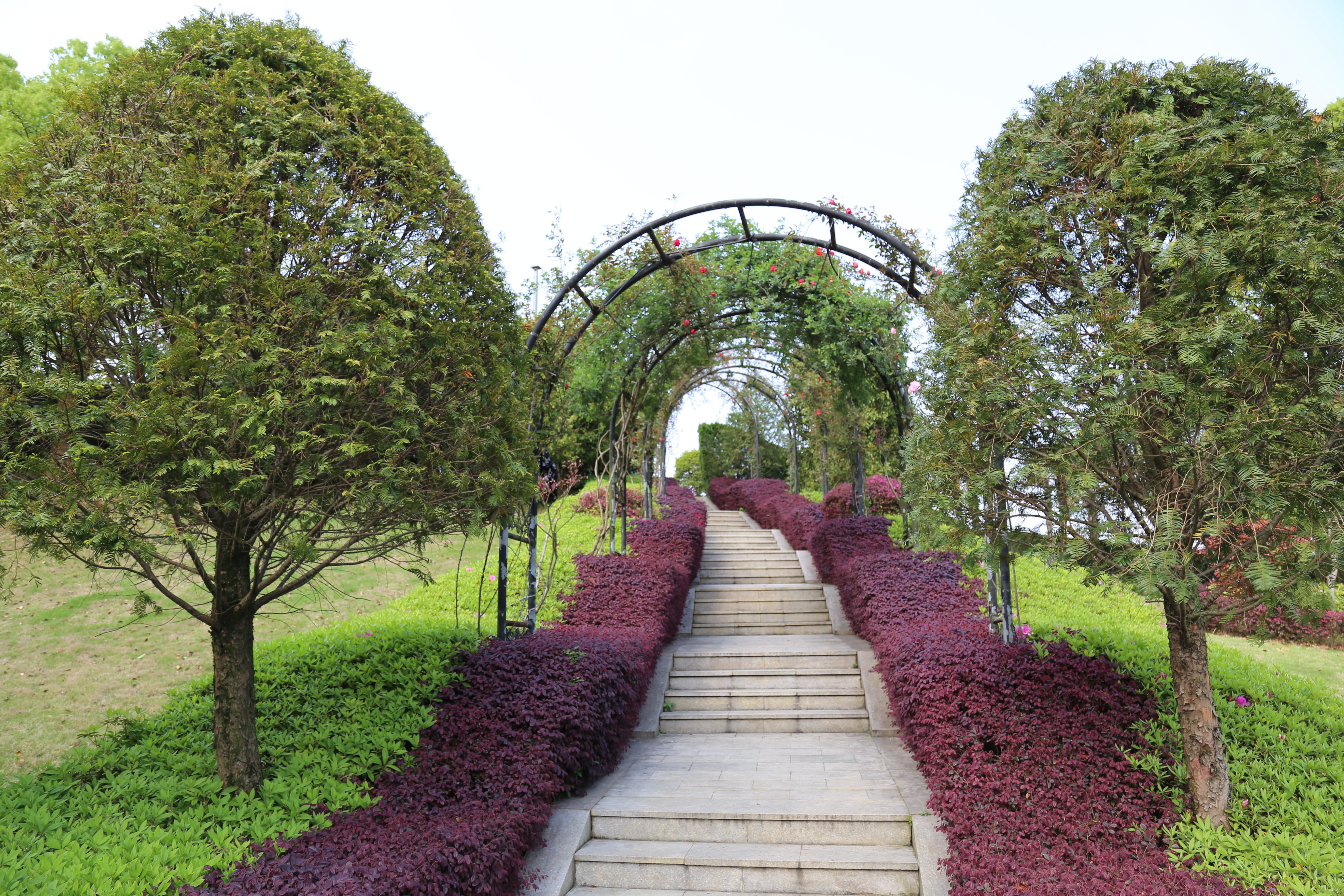 壹定发(中国游)官方网站