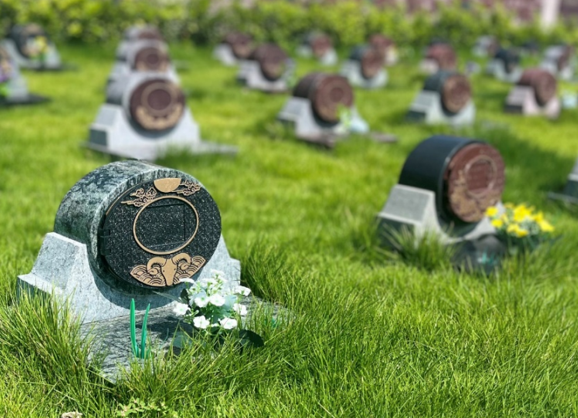 壹定发(中国游)官方网站