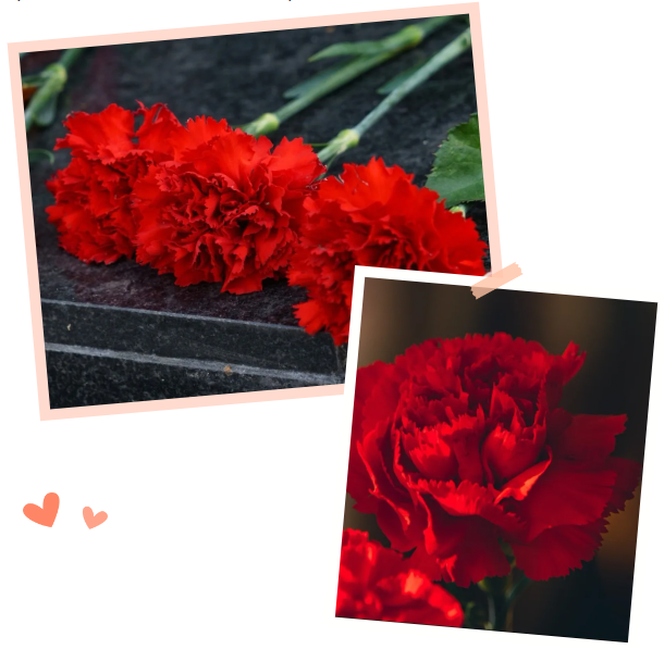 壹定发(中国游)官方网站