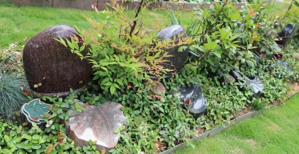 壹定发(中国游)官方网站