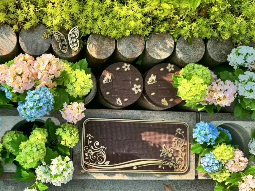 壹定发(中国游)官方网站