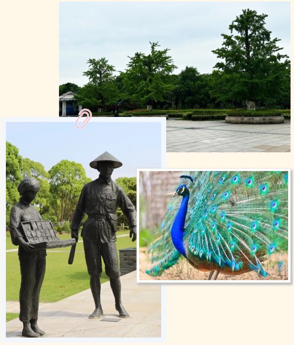 壹定发(中国游)官方网站