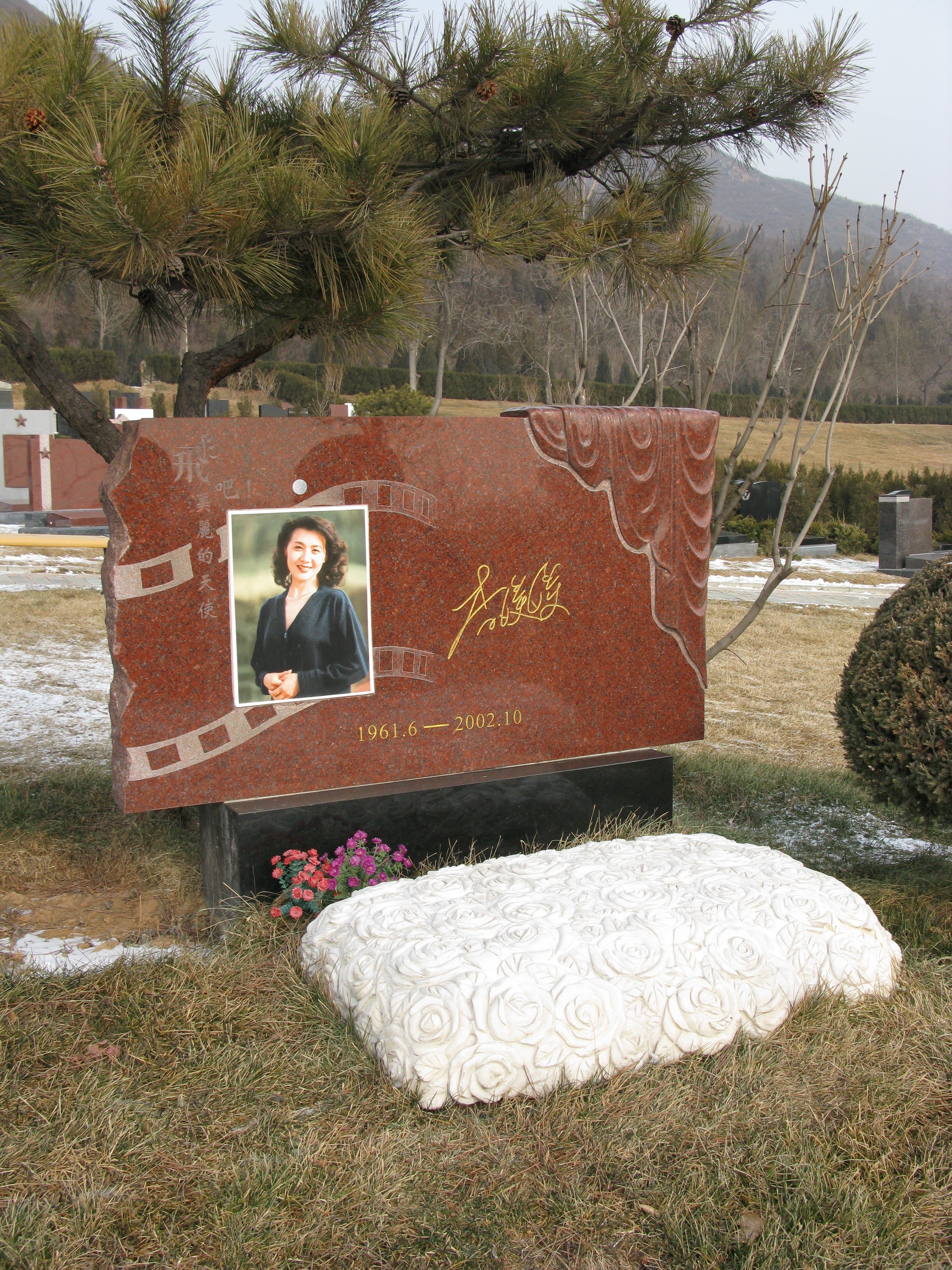 壹定发(中国游)官方网站