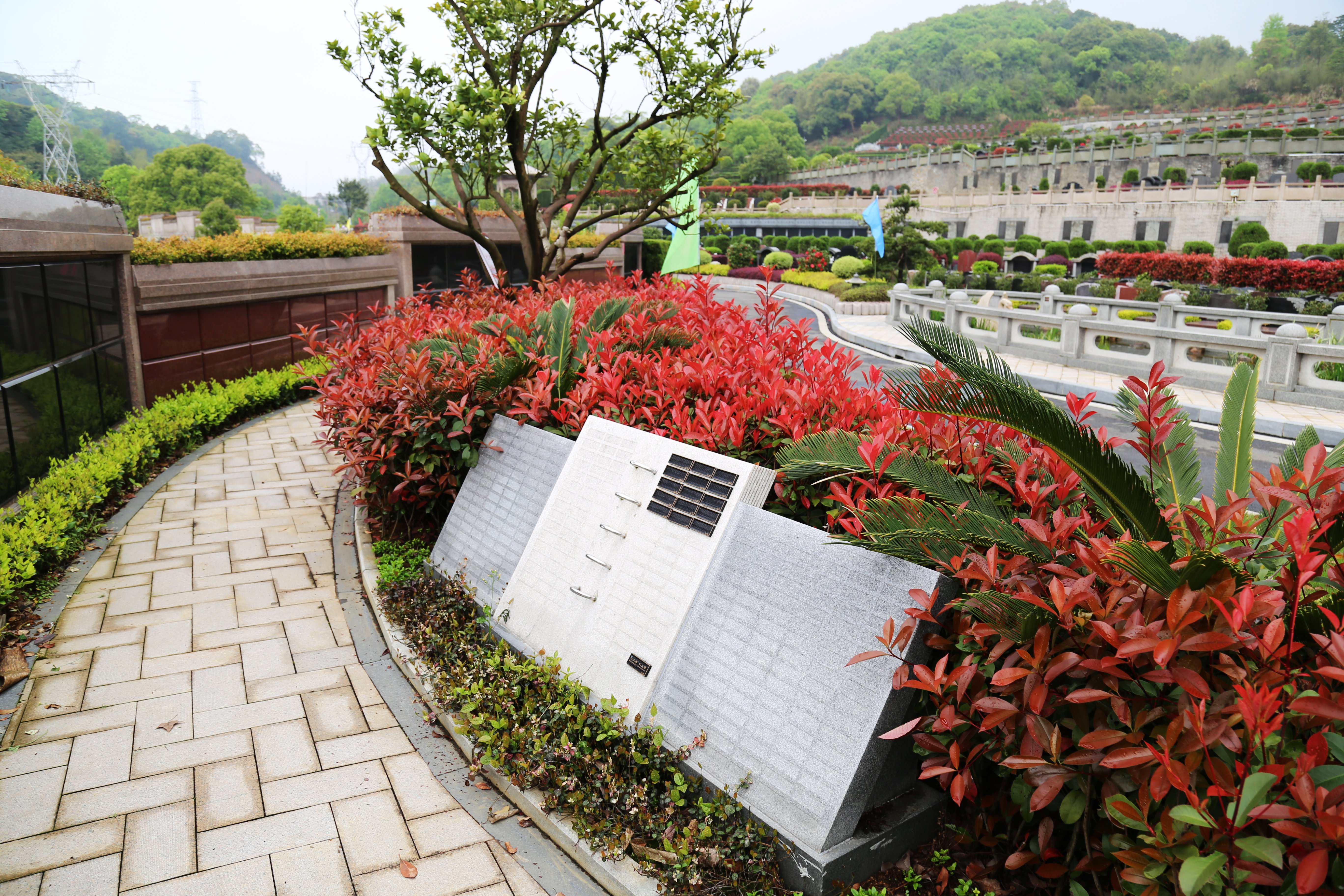 壹定发(中国游)官方网站