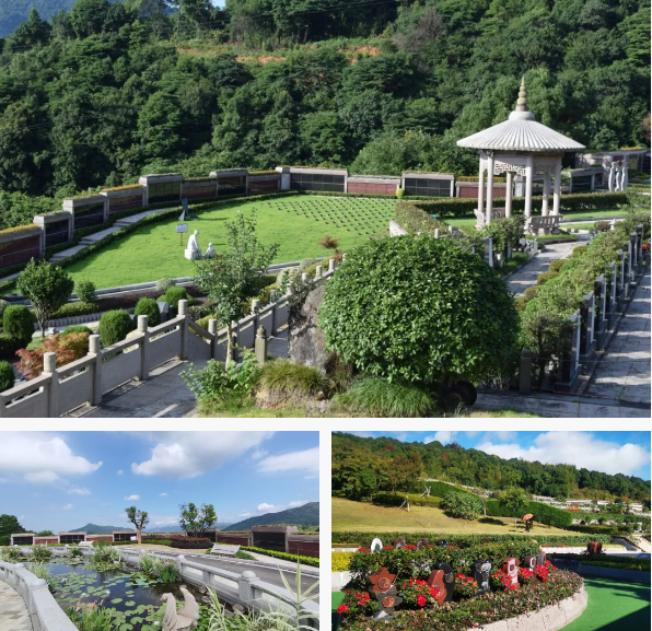 壹定发(中国游)官方网站