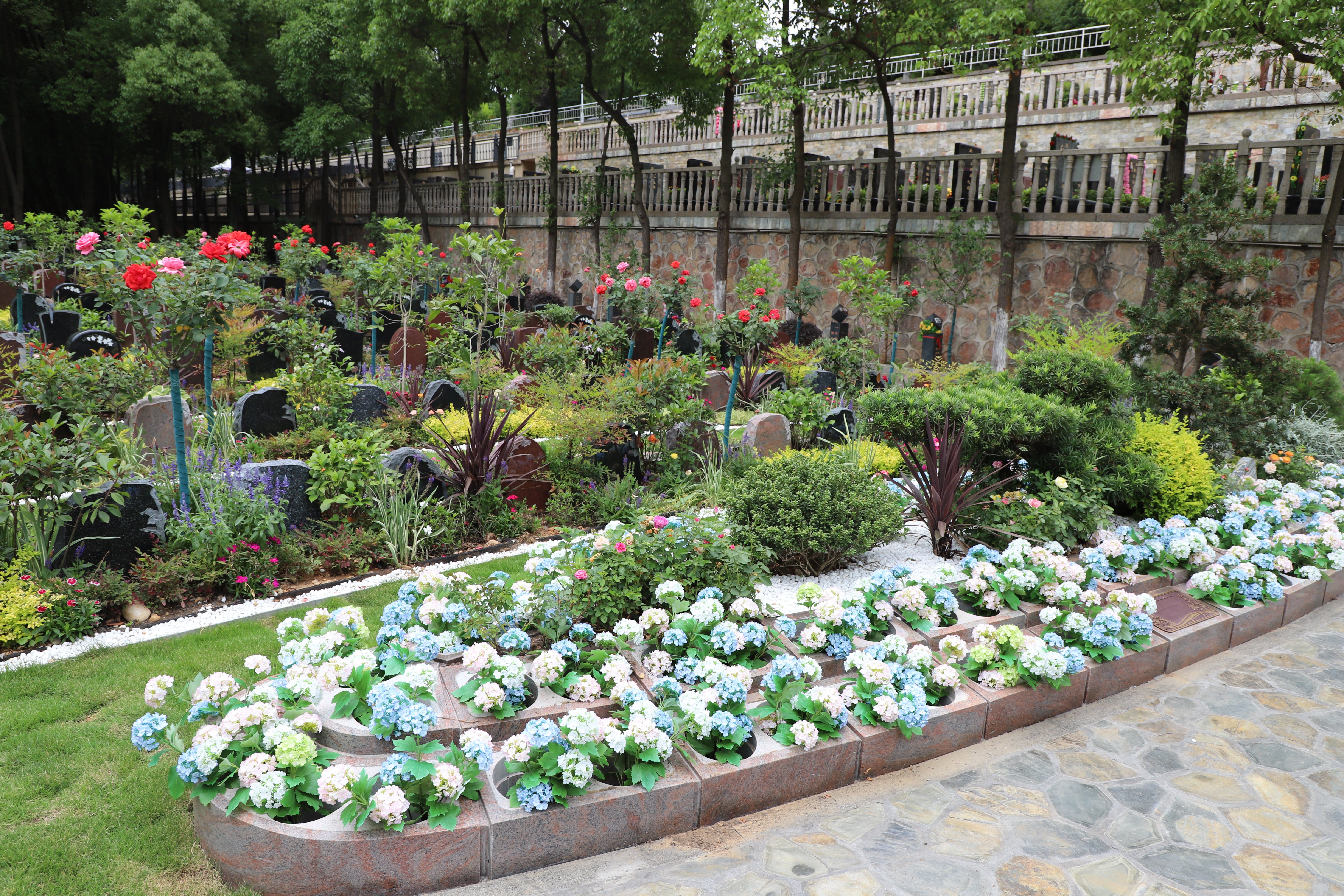 壹定发(中国游)官方网站