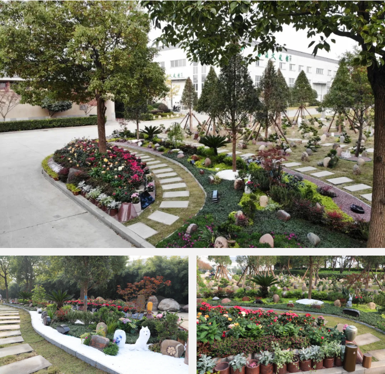 壹定发(中国游)官方网站