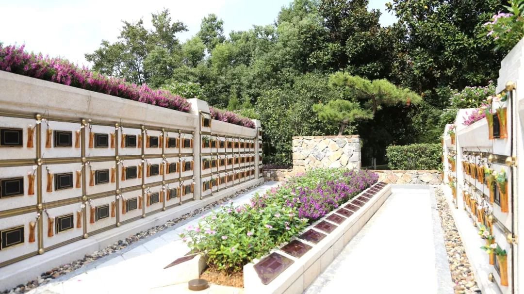 在合肥大蜀山文化陵园，，，，，与生命温柔对话