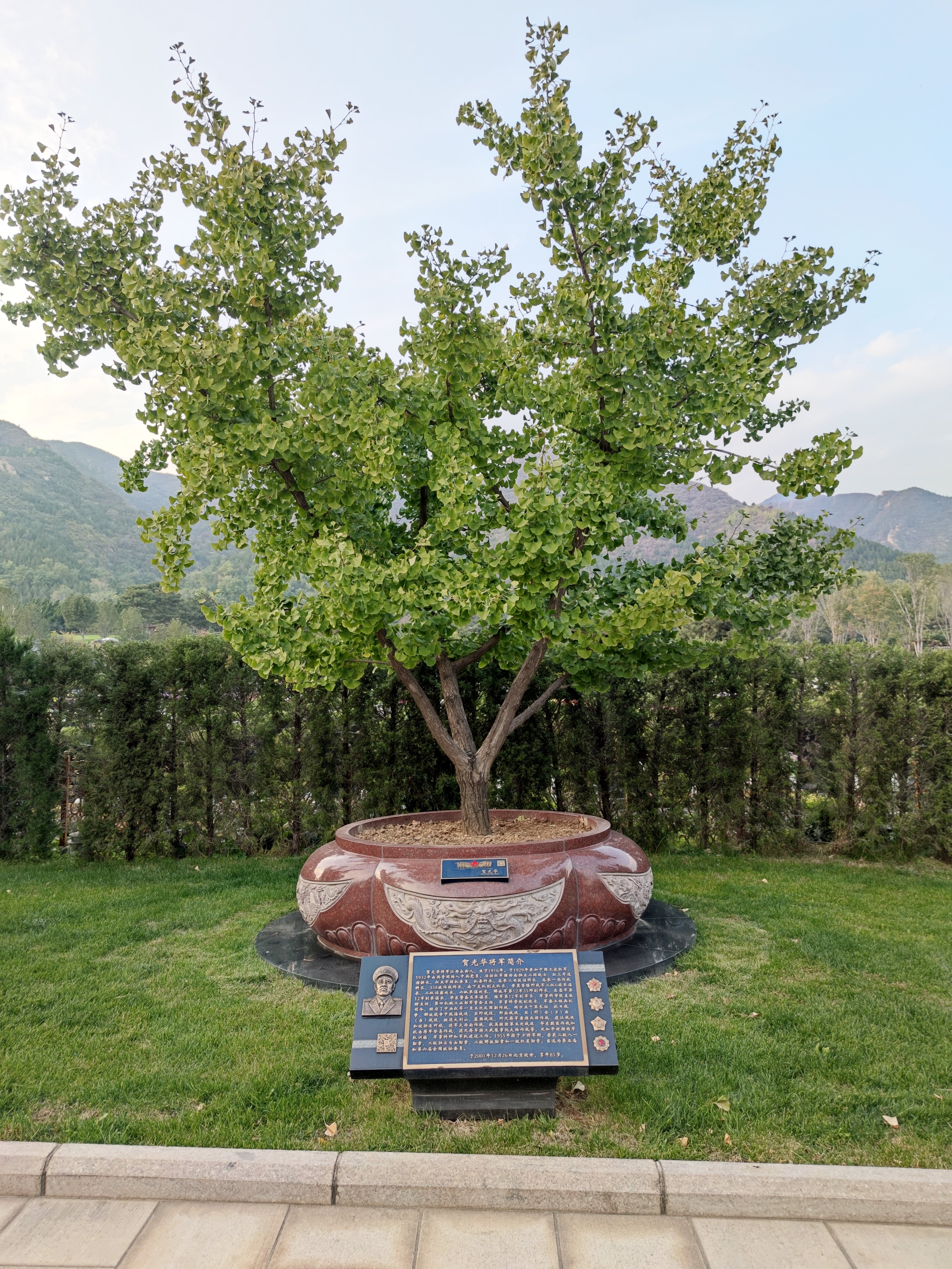 壹定发(中国游)官方网站