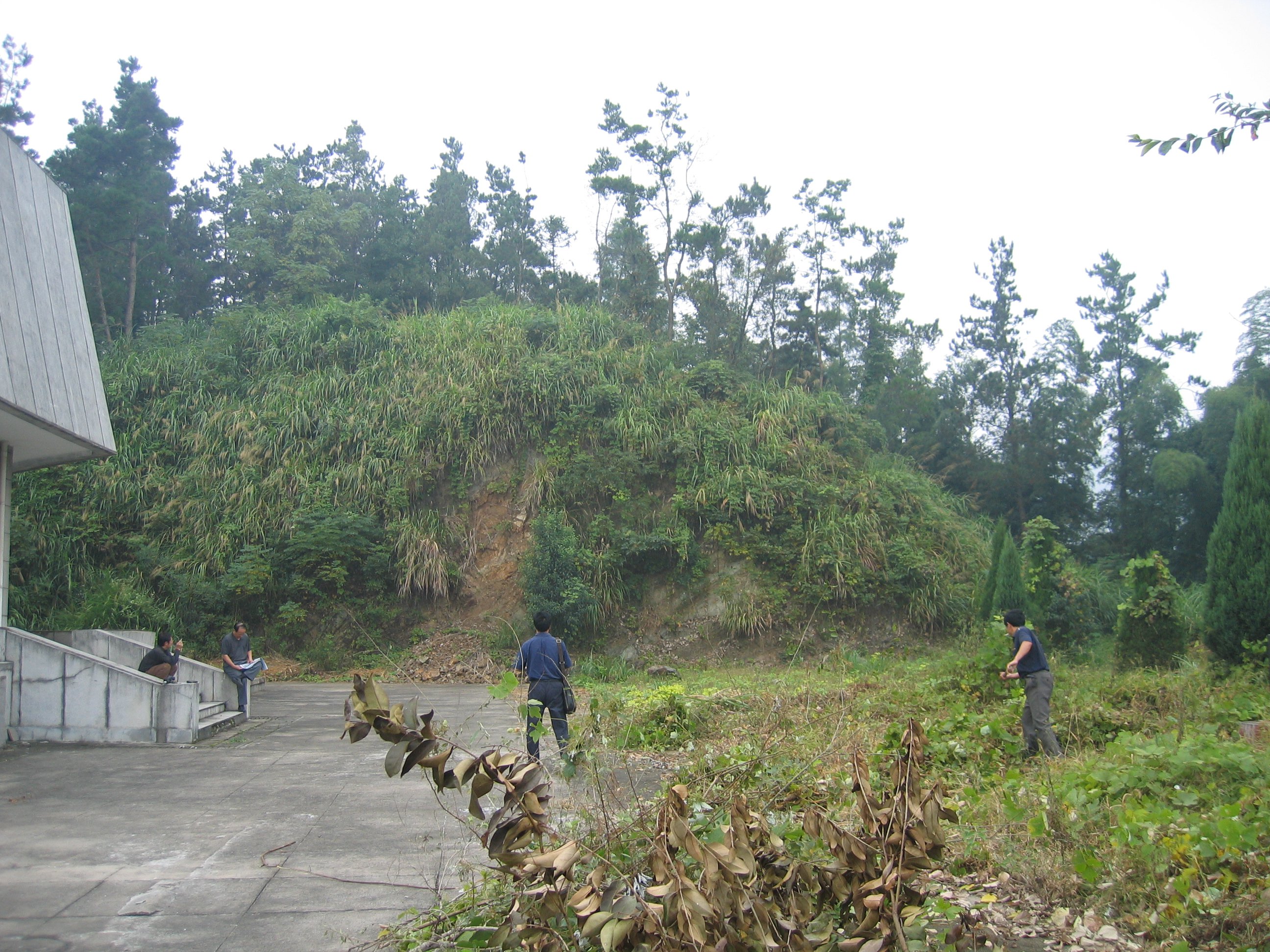 壹定发(中国游)官方网站