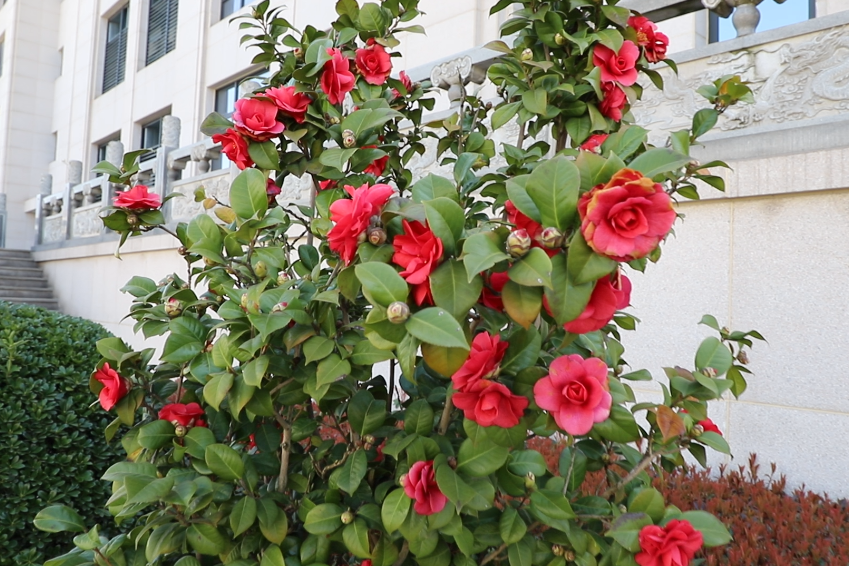 壹定发(中国游)官方网站