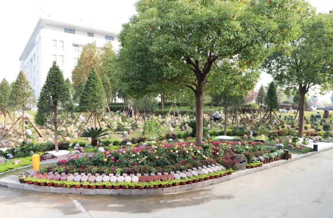 壹定发(中国游)官方网站