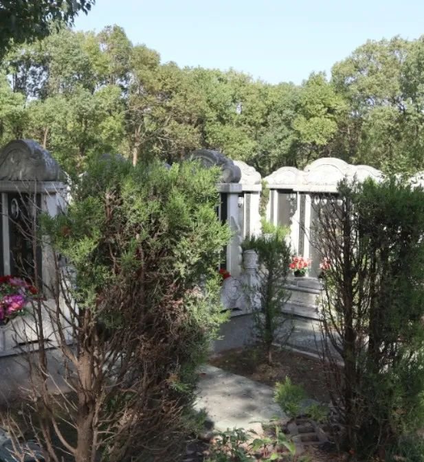 壹定发(中国游)官方网站