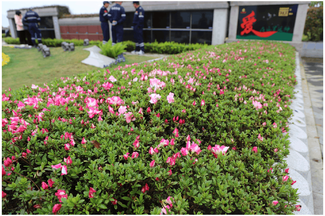 壹定发(中国游)官方网站