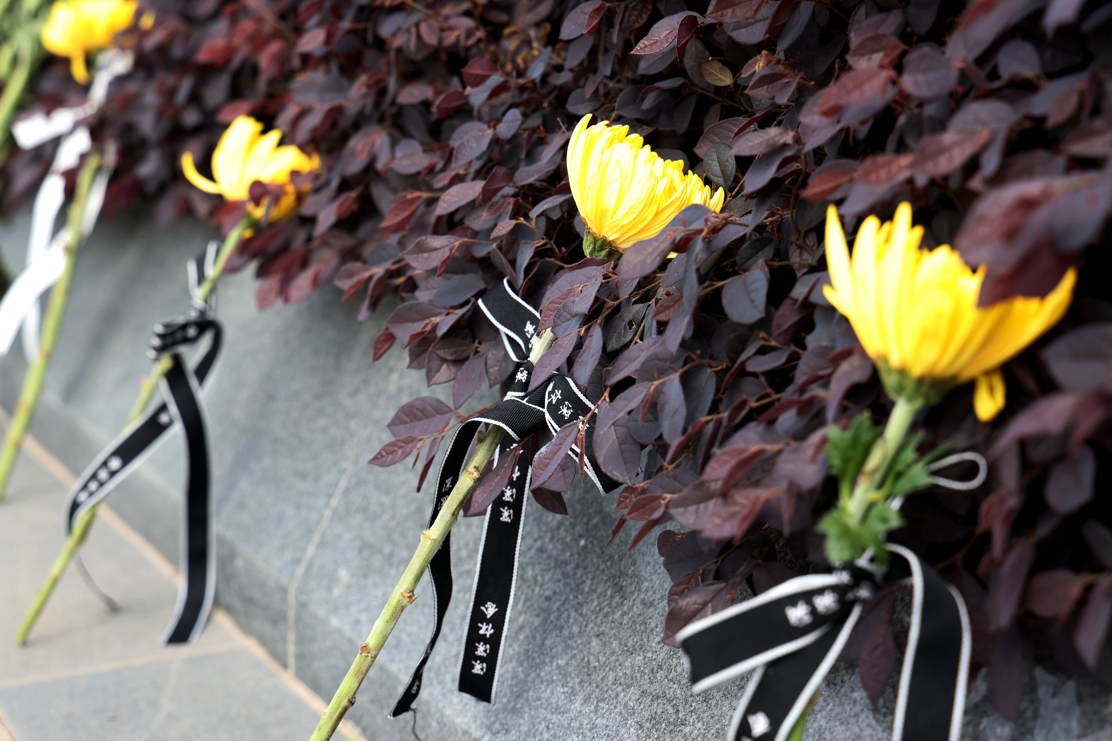 壹定发(中国游)官方网站