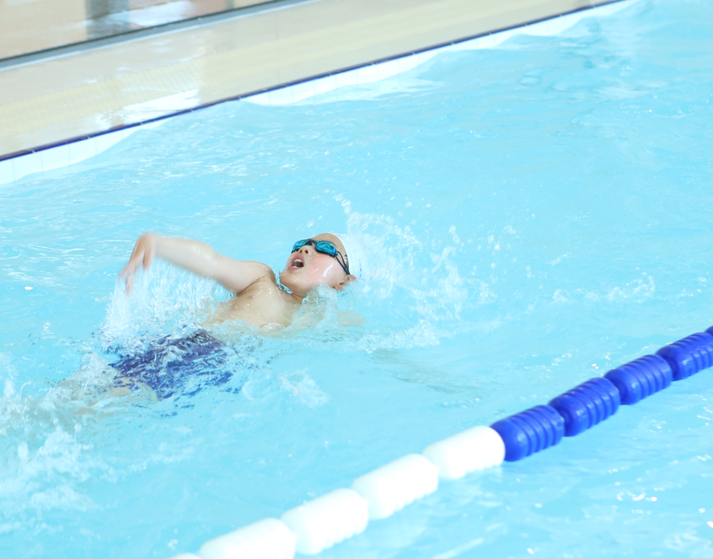 壹定发(中国游)官方网站