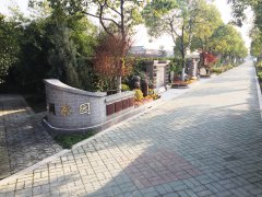 城市最后一平米：生态葬，是与天然的和解？还是无奈的选择？