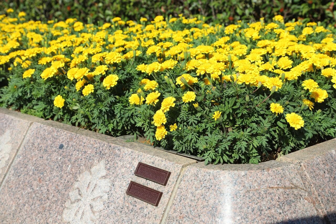 壹定发(中国游)官方网站