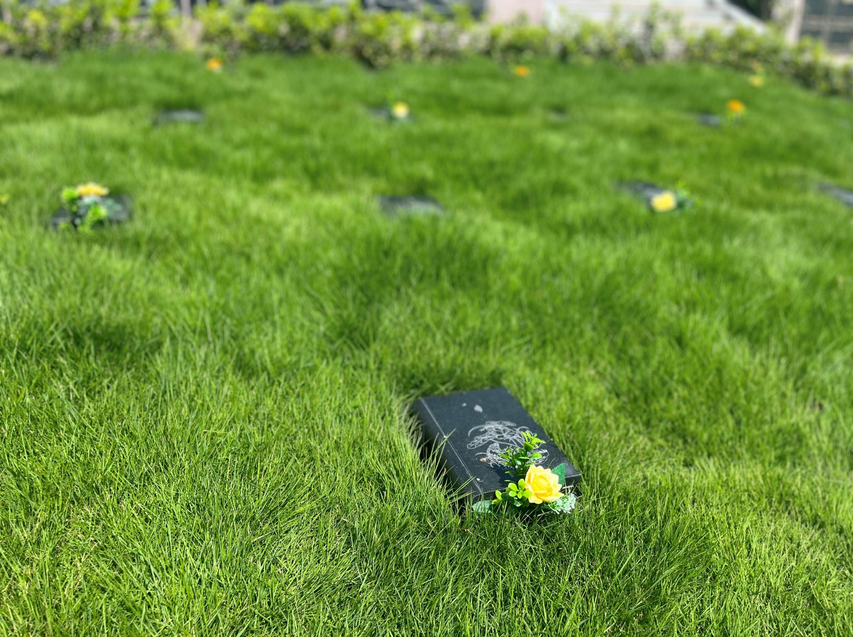 壹定发(中国游)官方网站