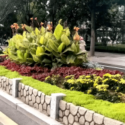 无机仿真石花箱：以永恒之名，塑将来之境